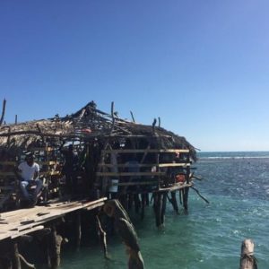 Pelican Bar at Sea