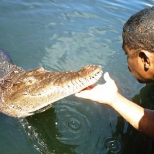 Black River Safari Tour
